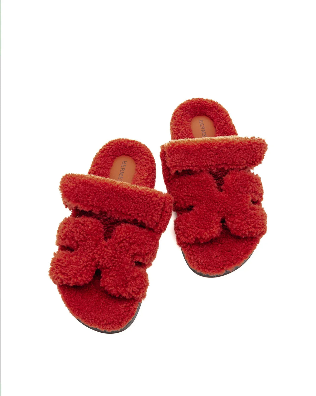CHYPRE TEDDY BEAR TERLİK - Cece Decór